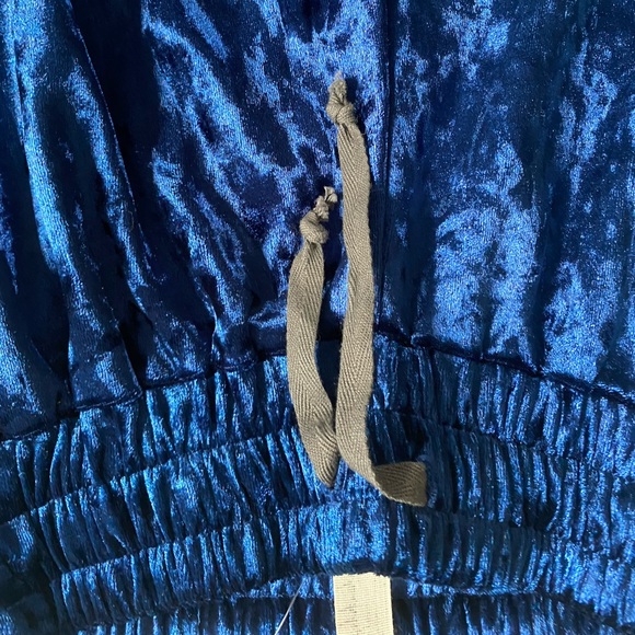 NEW WITH TAGS FREE PEOPLE BLUE VELVET PANTS - Picture 4 of 4
